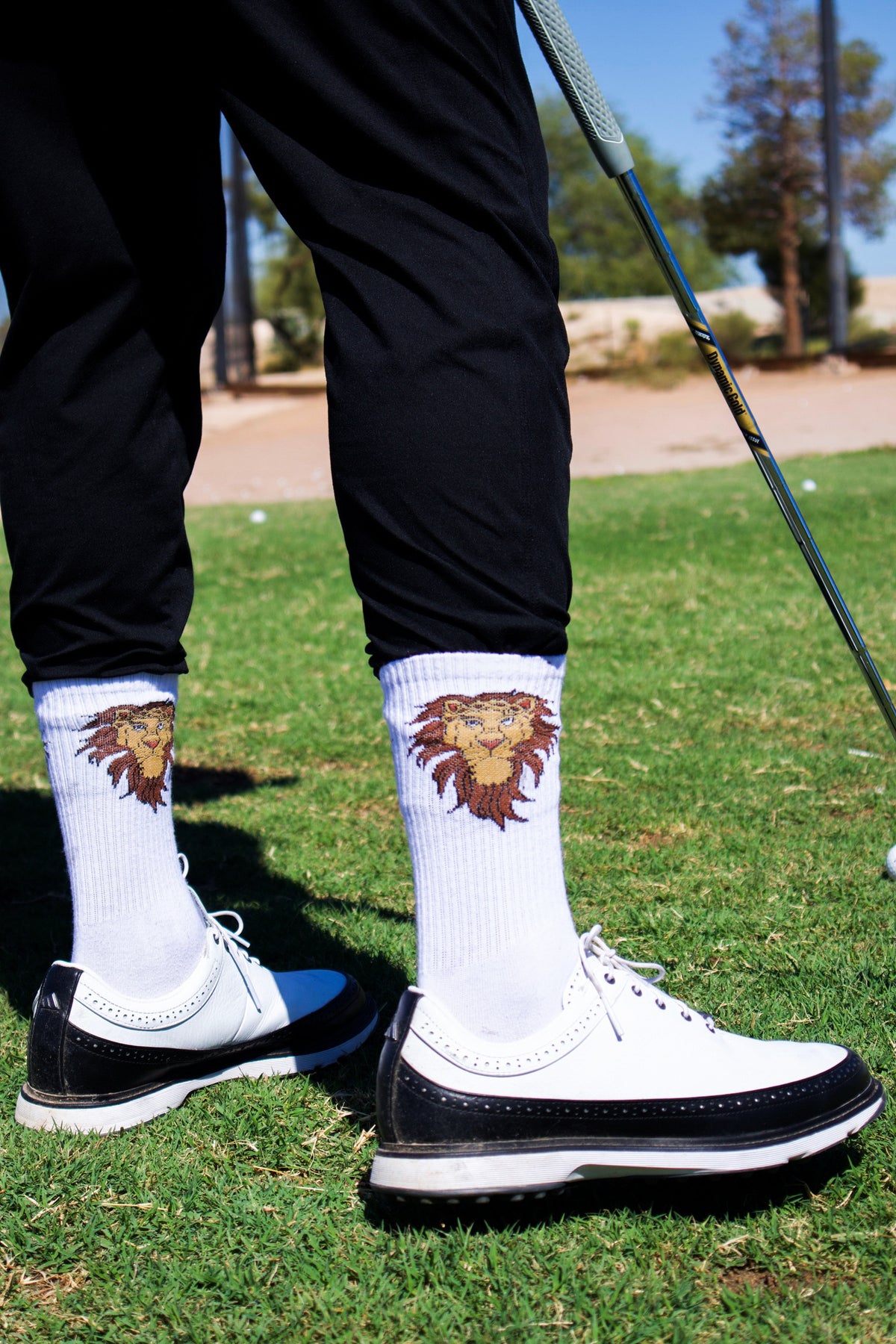 King of King Socks
